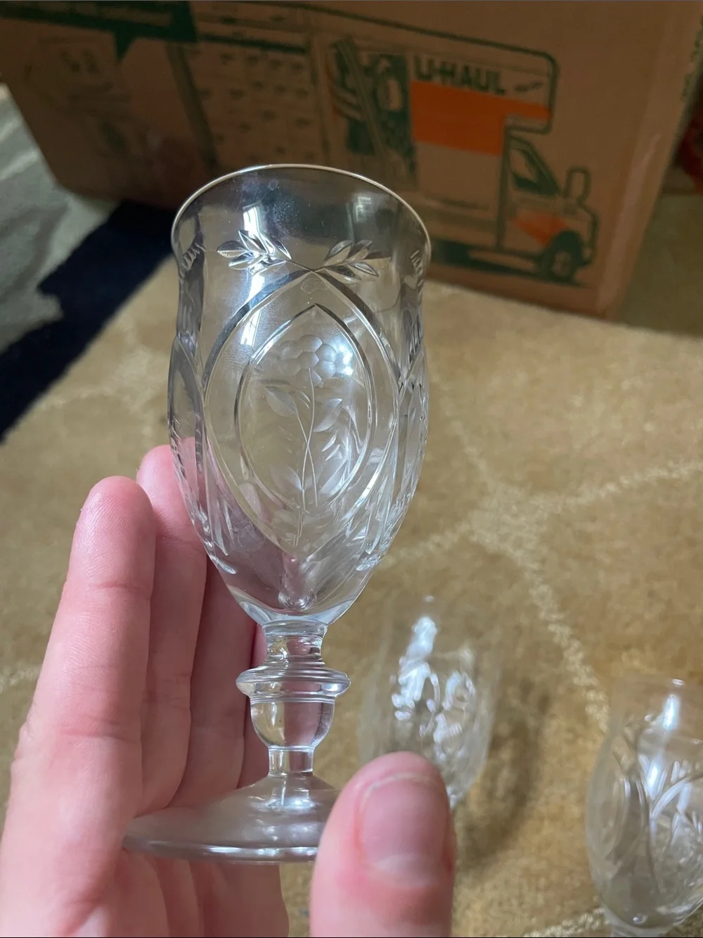 Etched Crystal Goblet Set - Clear Glass Wine Goblets (Set of 5)